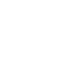 GetX Website Icon